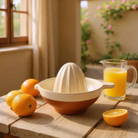 Porto Terracotta Ribbed Juicer - Stone