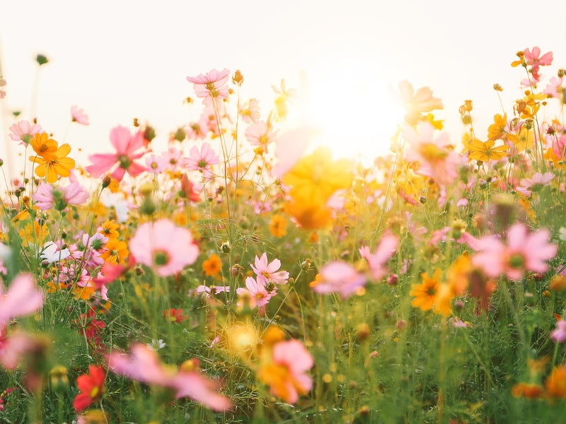 Spring Kitchen Refresh Ideas | Brighten Your Home with Dexam Essentials