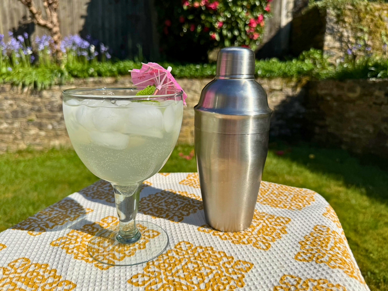 Spring Gin Fizz | Celebrate World Cocktail Day