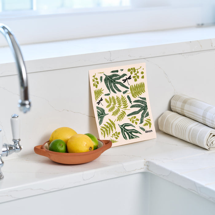 Swedish Dishcloth Fern